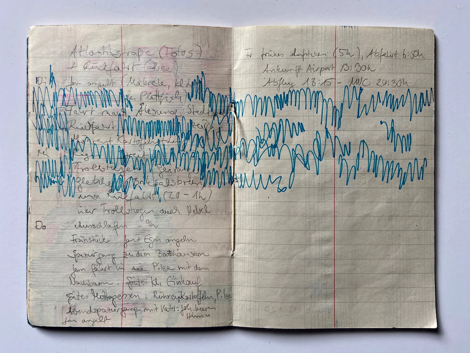 Wahlweise Gedankenlosigkeiten – Künstlerbuch, Katinka Molde